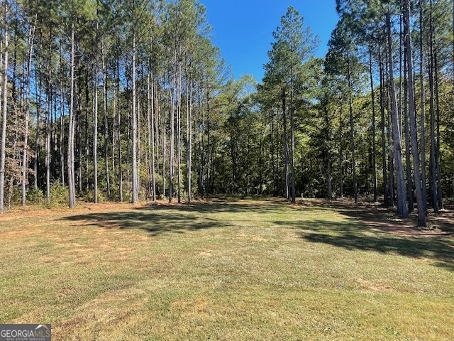 1300 Hunter Welch Parkway Luthersville - Photo 27