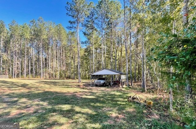 1300 Hunter Welch Parkway Luthersville - Photo 6