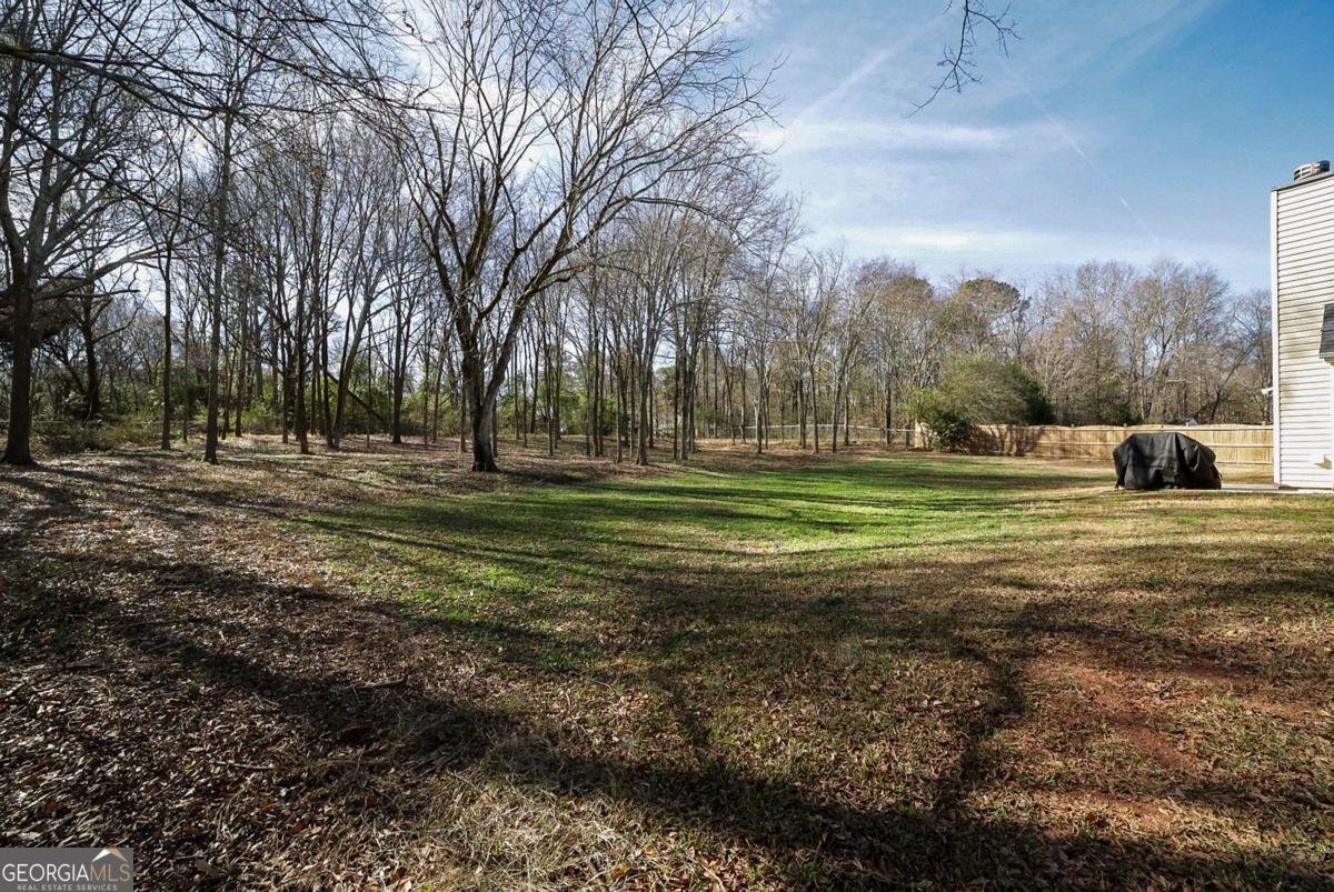 250 Anniston Drive Athens - Photo 30