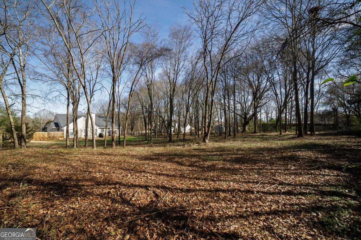 250 Anniston Drive Athens - Photo 34