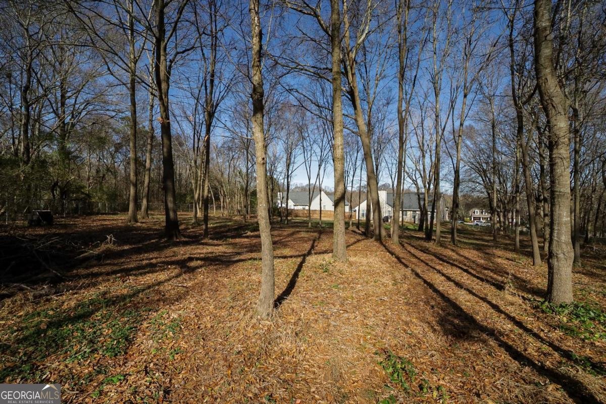 250 Anniston Drive Athens - Photo 36