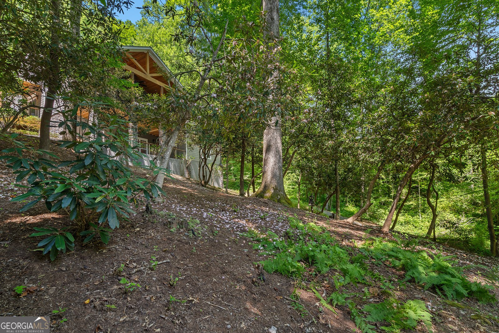 112 Springhill Lane Clarkesville - Photo 56