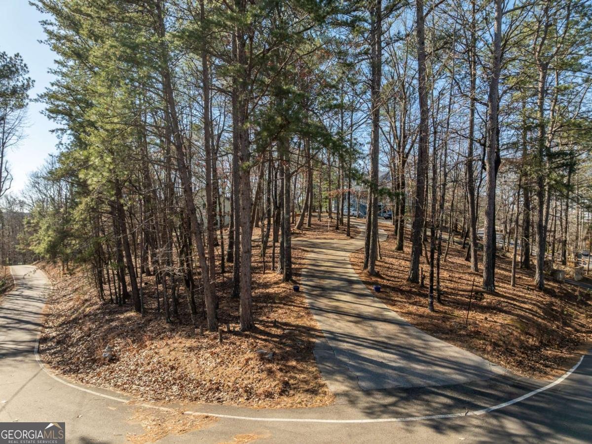 48 Palisade Drive Ellijay - Photo 23