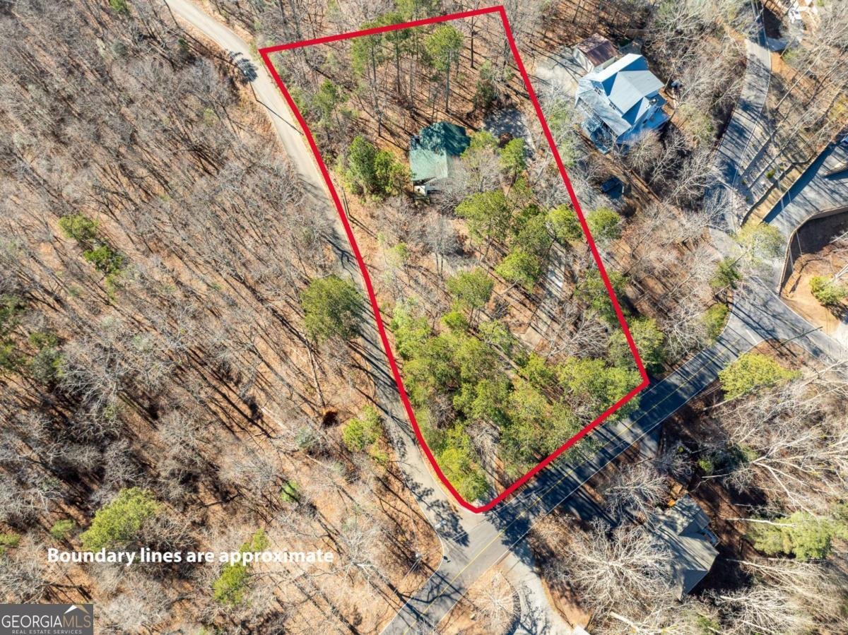 48 Palisade Drive Ellijay - Photo 53