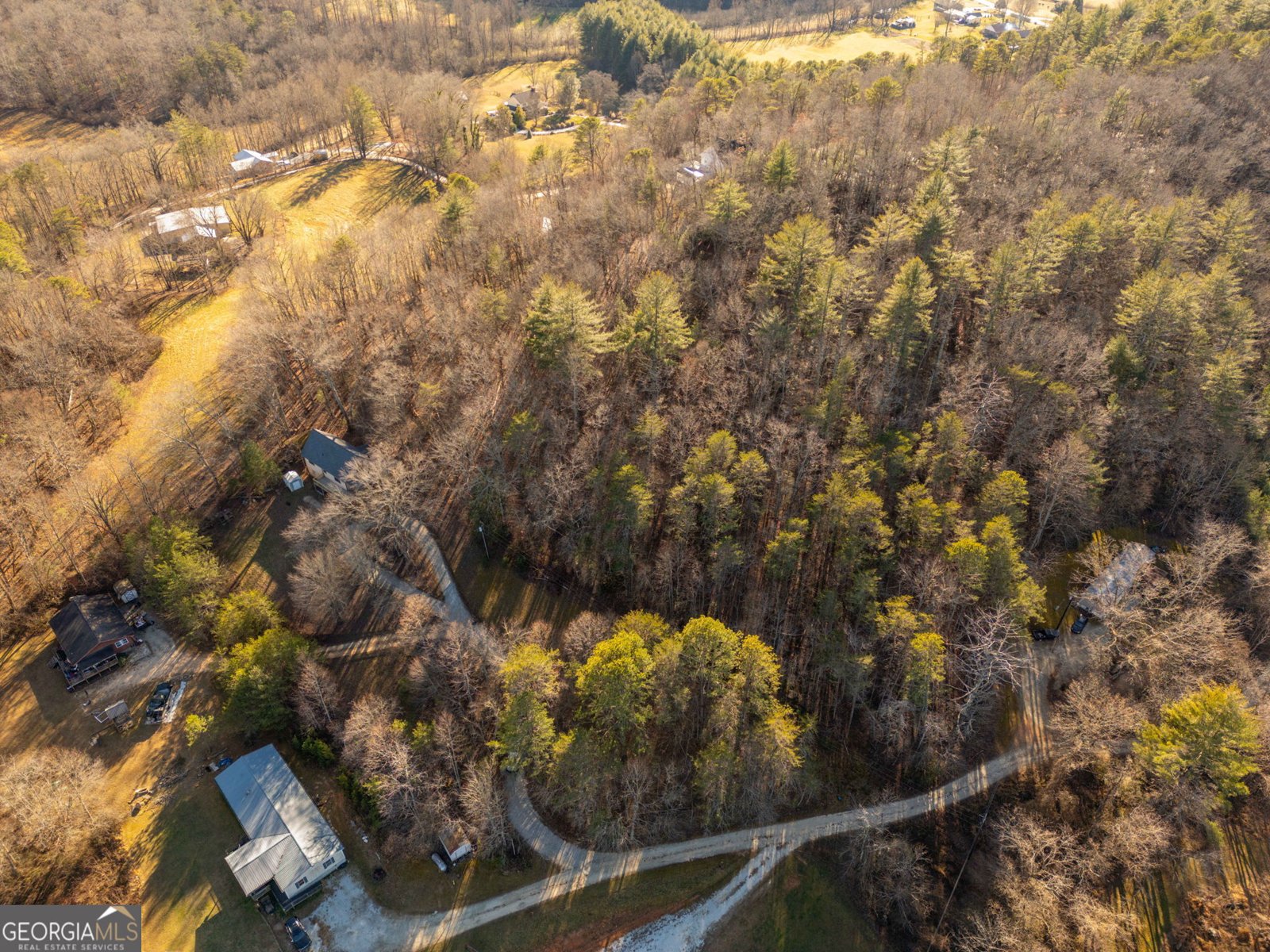 178 Troy Lane Rabun Gap - Photo 16
