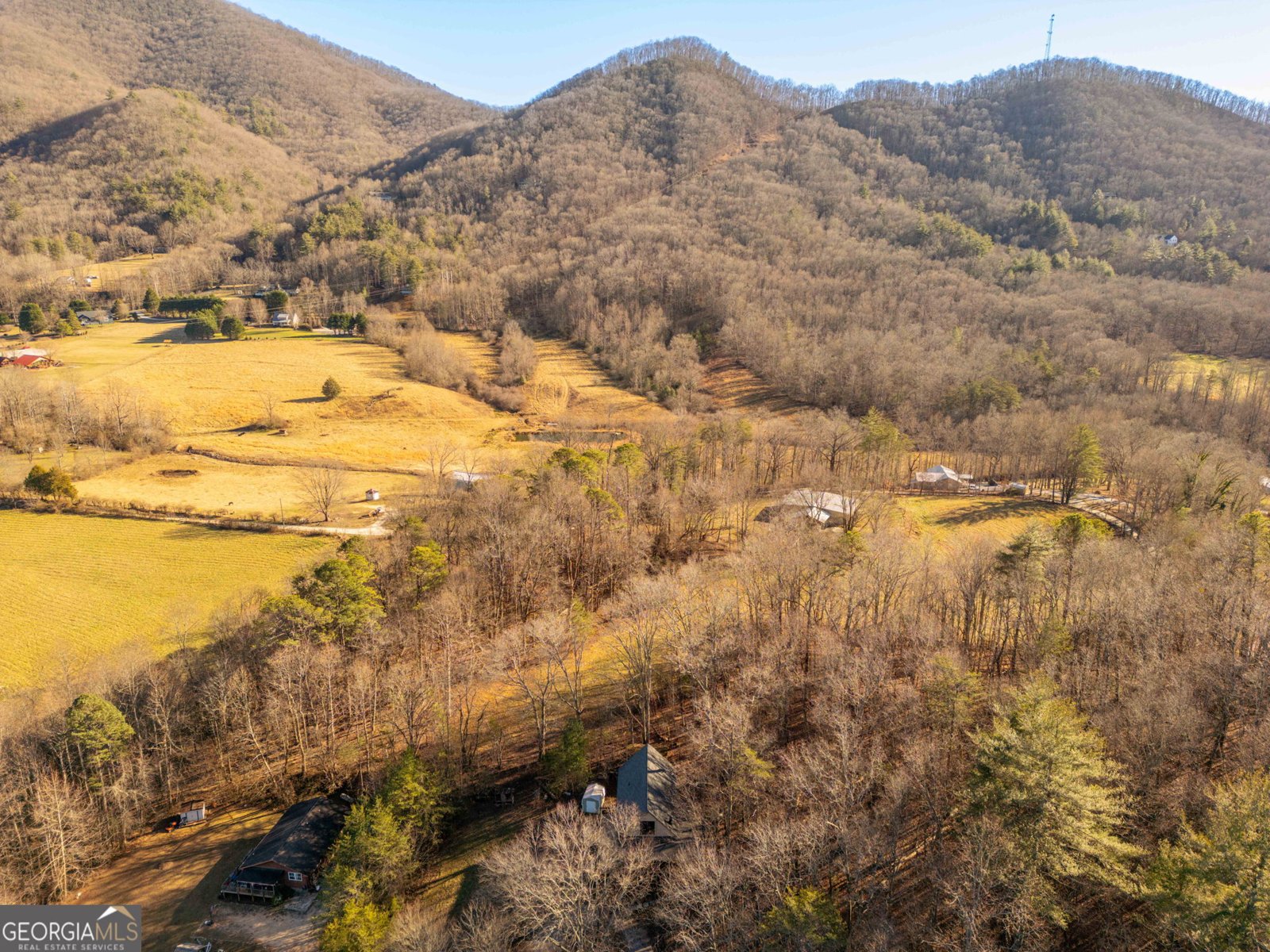 178 Troy Lane Rabun Gap - Photo 17