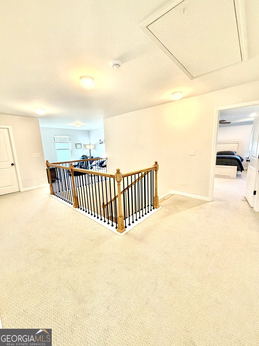 229 Begonia Way McDonough - Photo 20