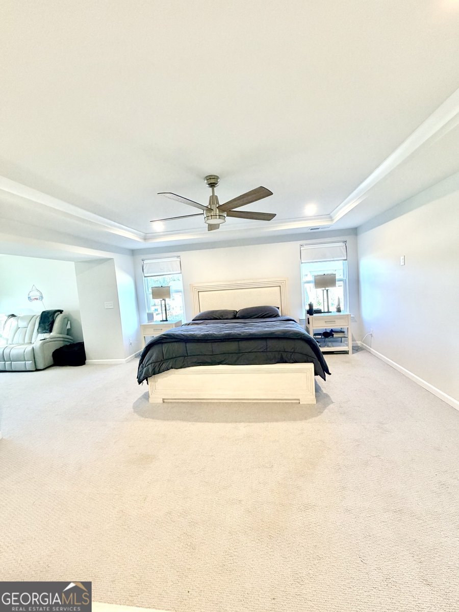 229 Begonia Way McDonough - Photo 29