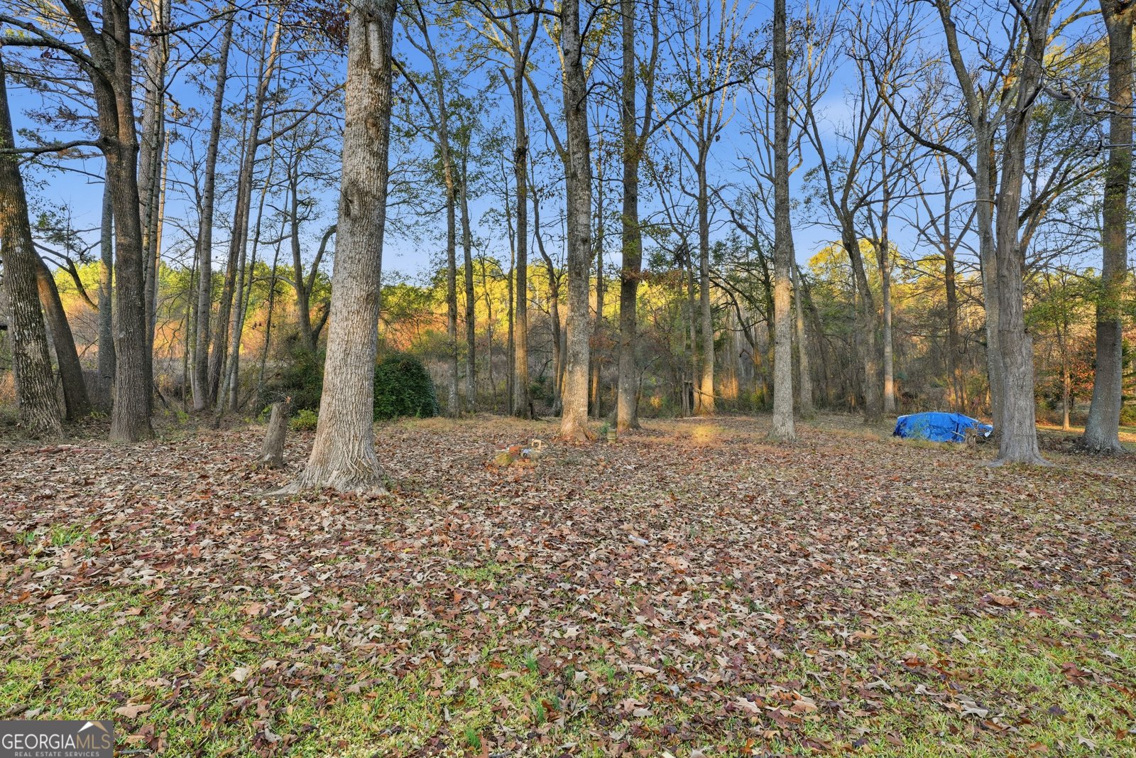 112 Mann Boulevard Stockbridge - Photo 35