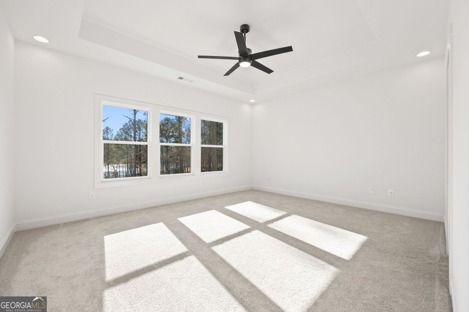 130 Windchime Way Tyrone - Photo 19