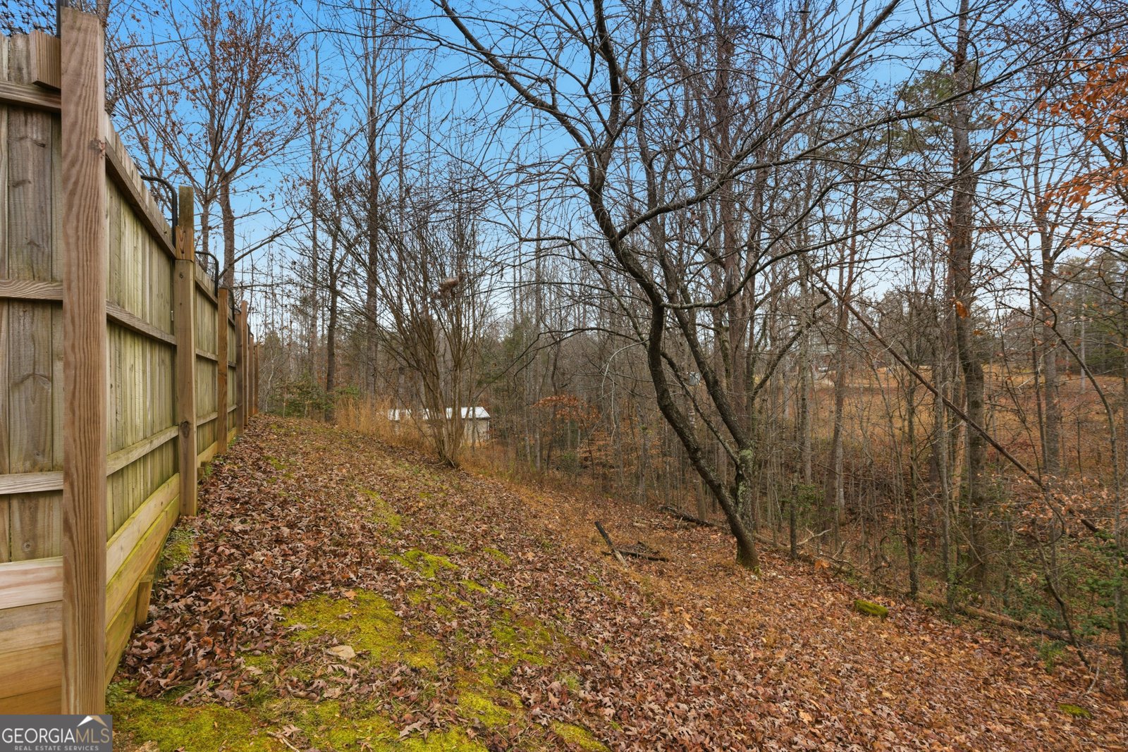 1000 Preacher Campbell Road Clarkesville - Photo 14