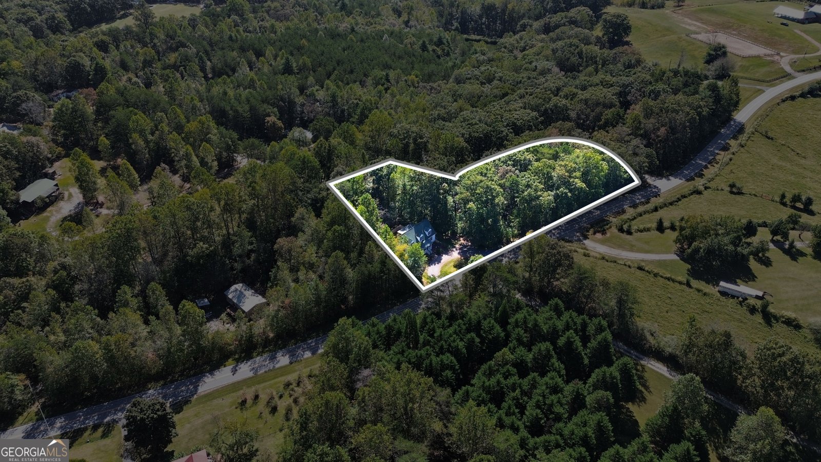 1000 Preacher Campbell Road Clarkesville - Photo 38