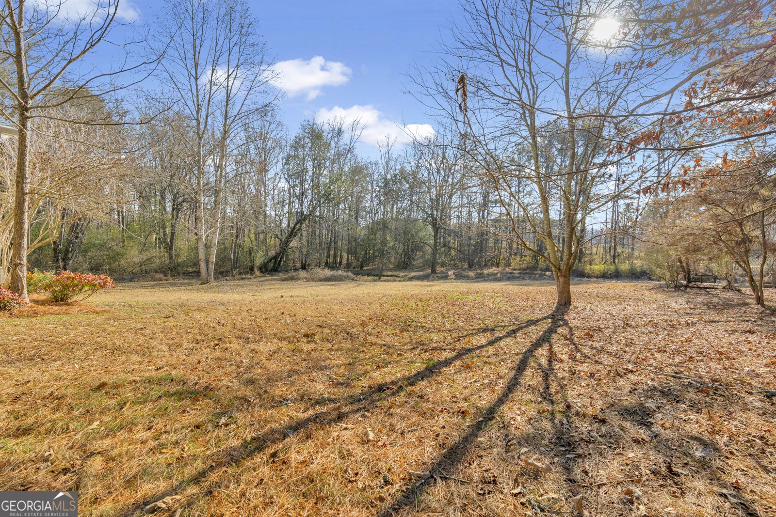 2693 Highway 101 Villa Rica - Photo 54
