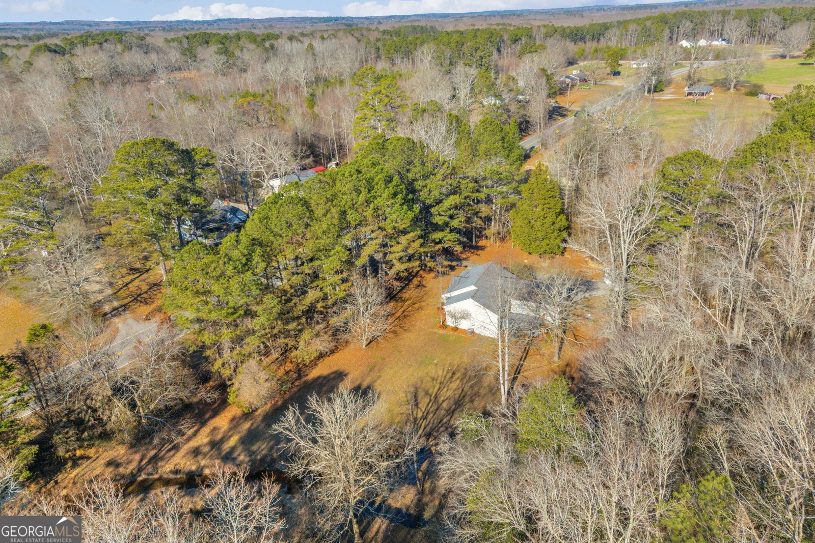 2693 Highway 101 Villa Rica - Photo 62