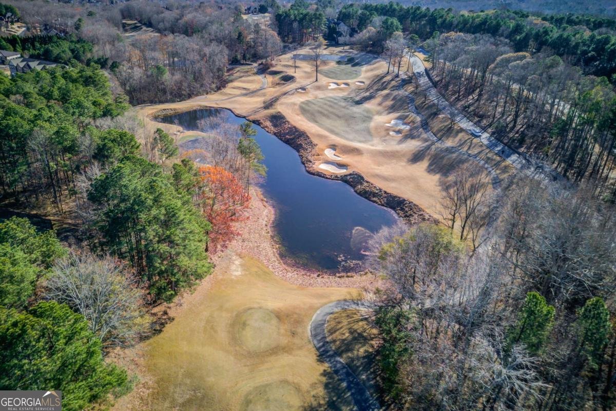 3317 Green Farm Trail Dacula - Photo 45