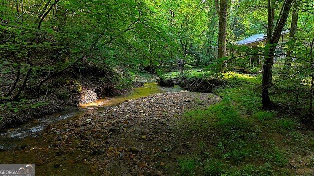 0 Nocona Trail Ellijay - Photo 24