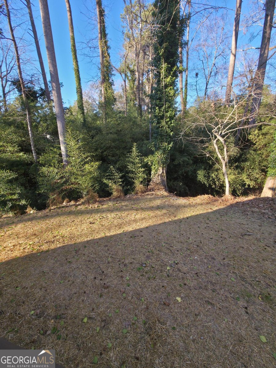 370 Camelot Drive Athens - Photo 27