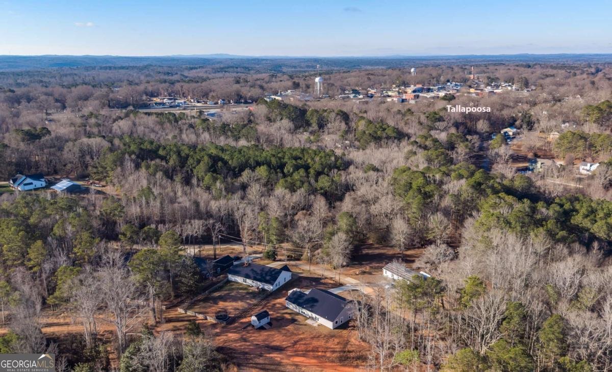 229 Almon Avenue Tallapoosa - Photo 40