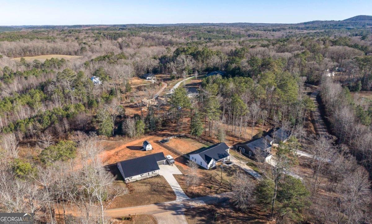 229 Almon Avenue Tallapoosa - Photo 42