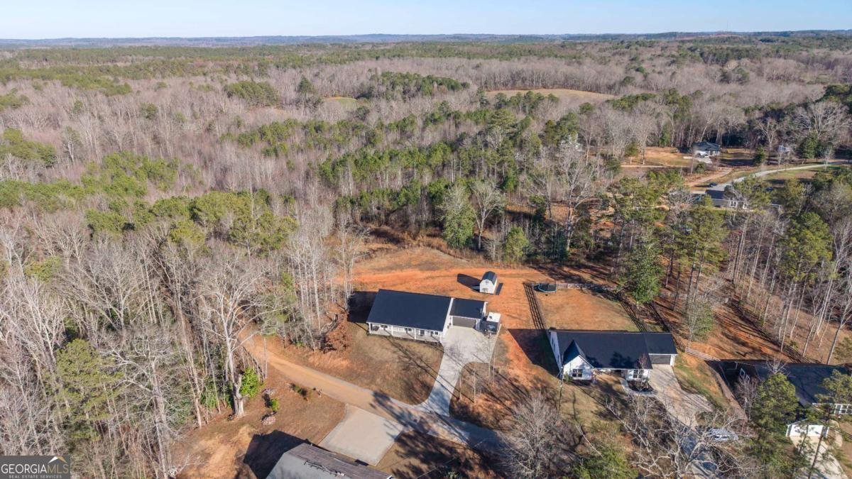 229 Almon Avenue Tallapoosa - Photo 44