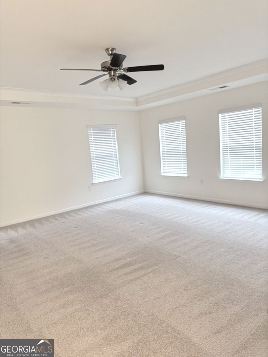 3408 Appaloosa Trail Conyers - Photo 53