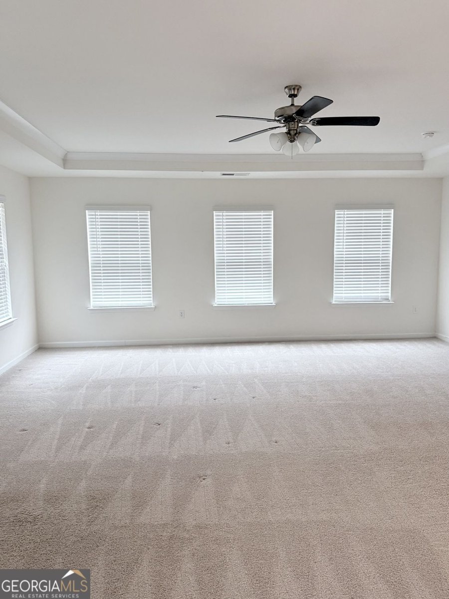 3408 Appaloosa Trail Conyers - Photo 54