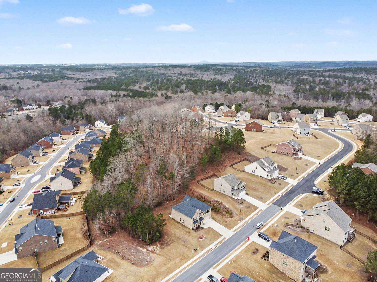 3408 Appaloosa Trail Conyers - Photo 7