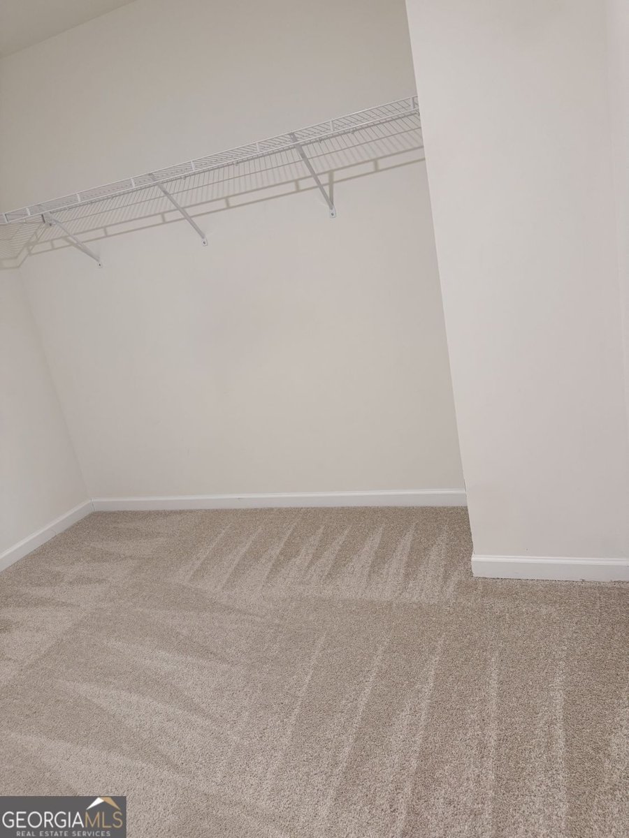 3408 Appaloosa Trail Conyers - Photo 73