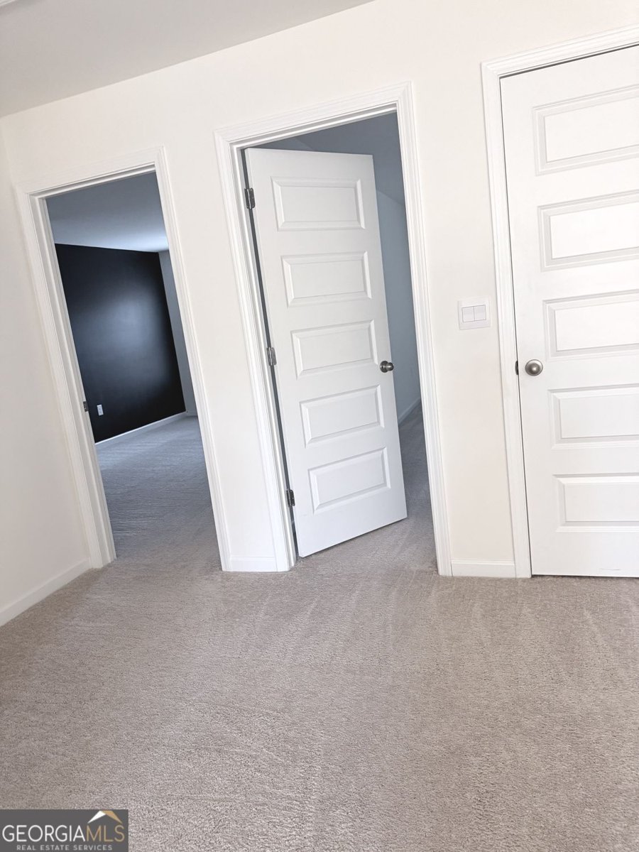 3408 Appaloosa Trail Conyers - Photo 75