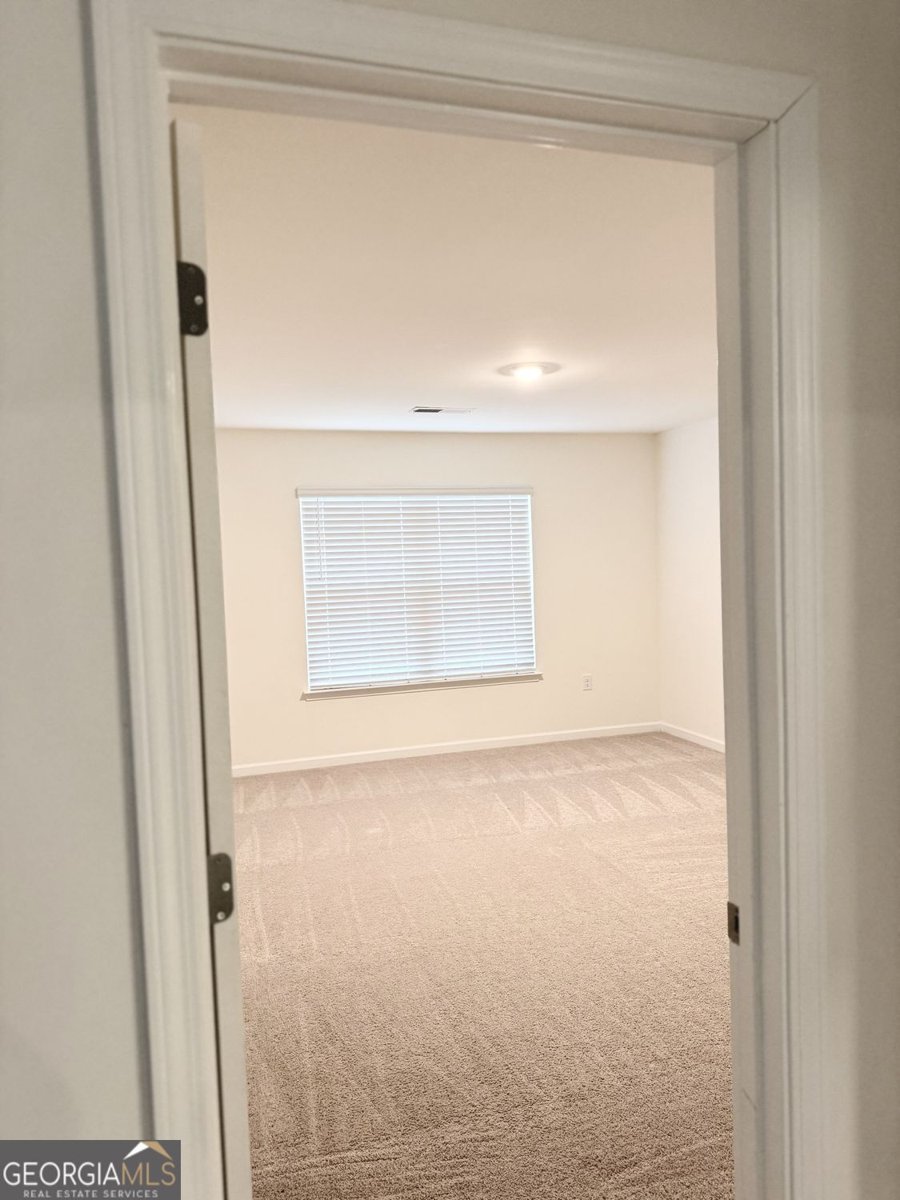 3408 Appaloosa Trail Conyers - Photo 81