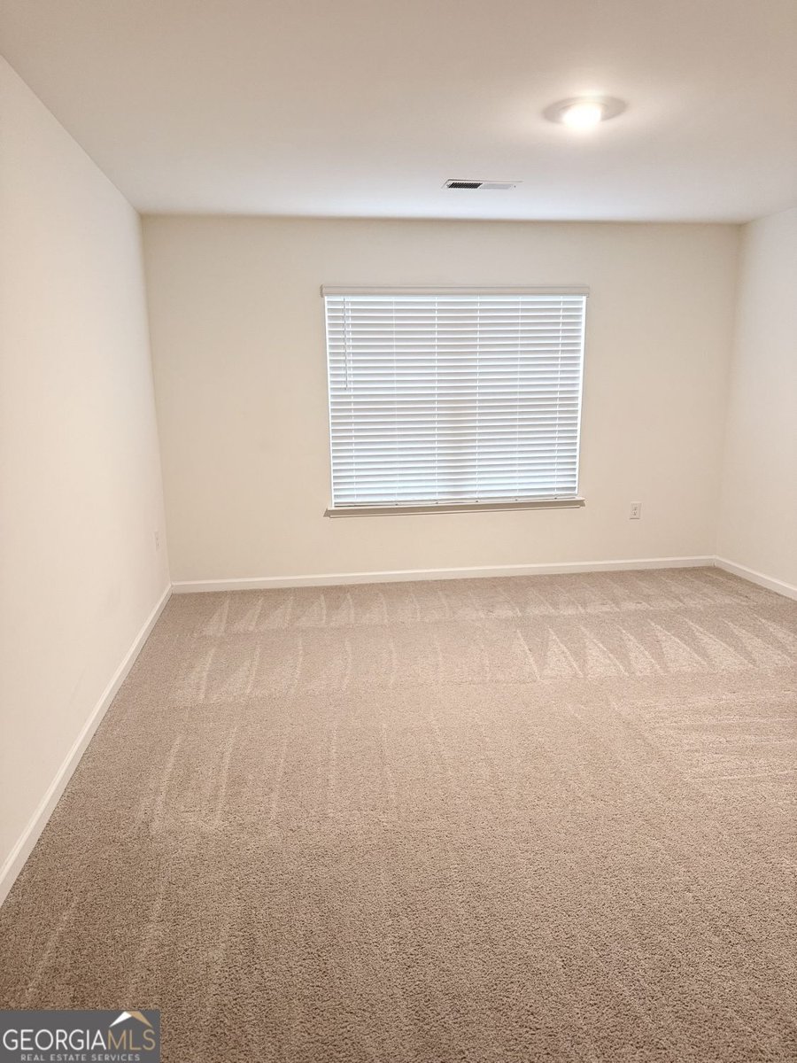 3408 Appaloosa Trail Conyers - Photo 82