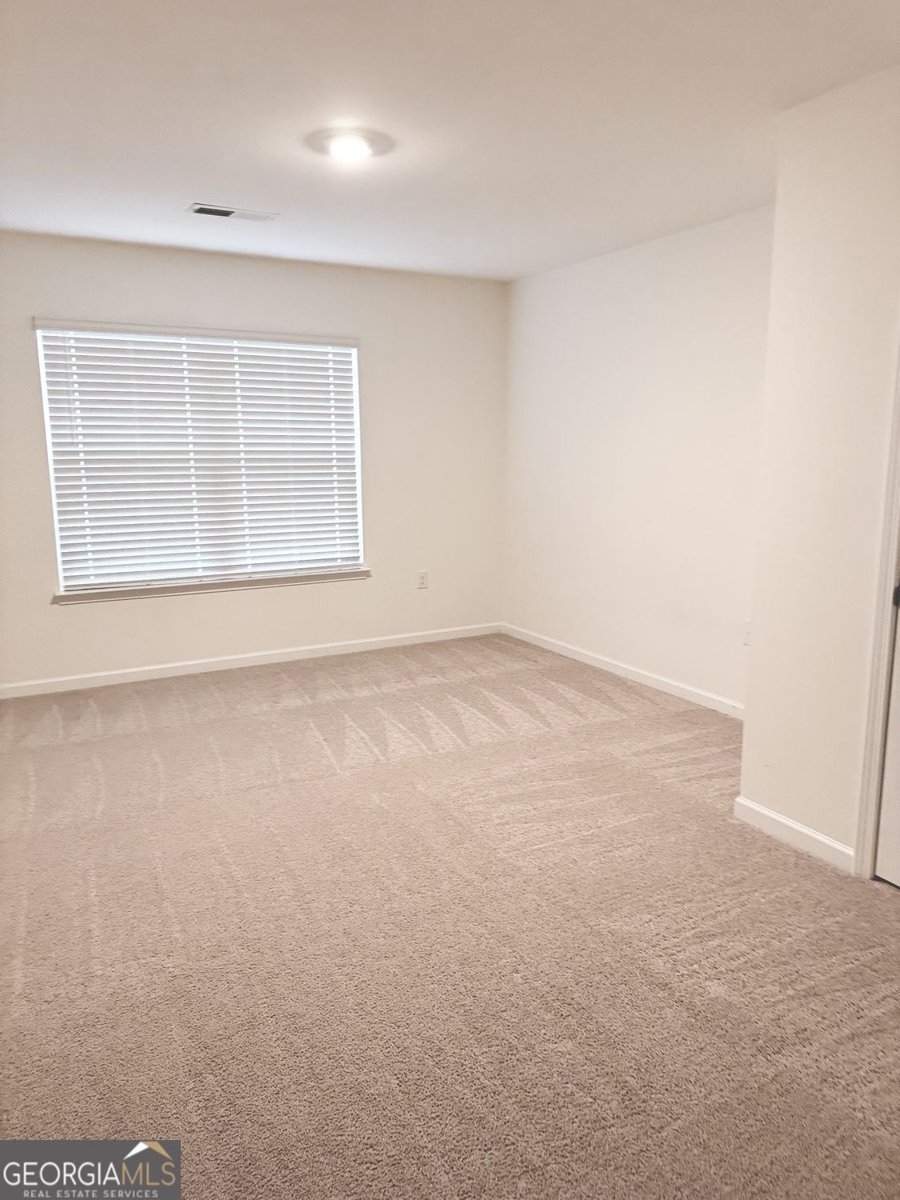 3408 Appaloosa Trail Conyers - Photo 83