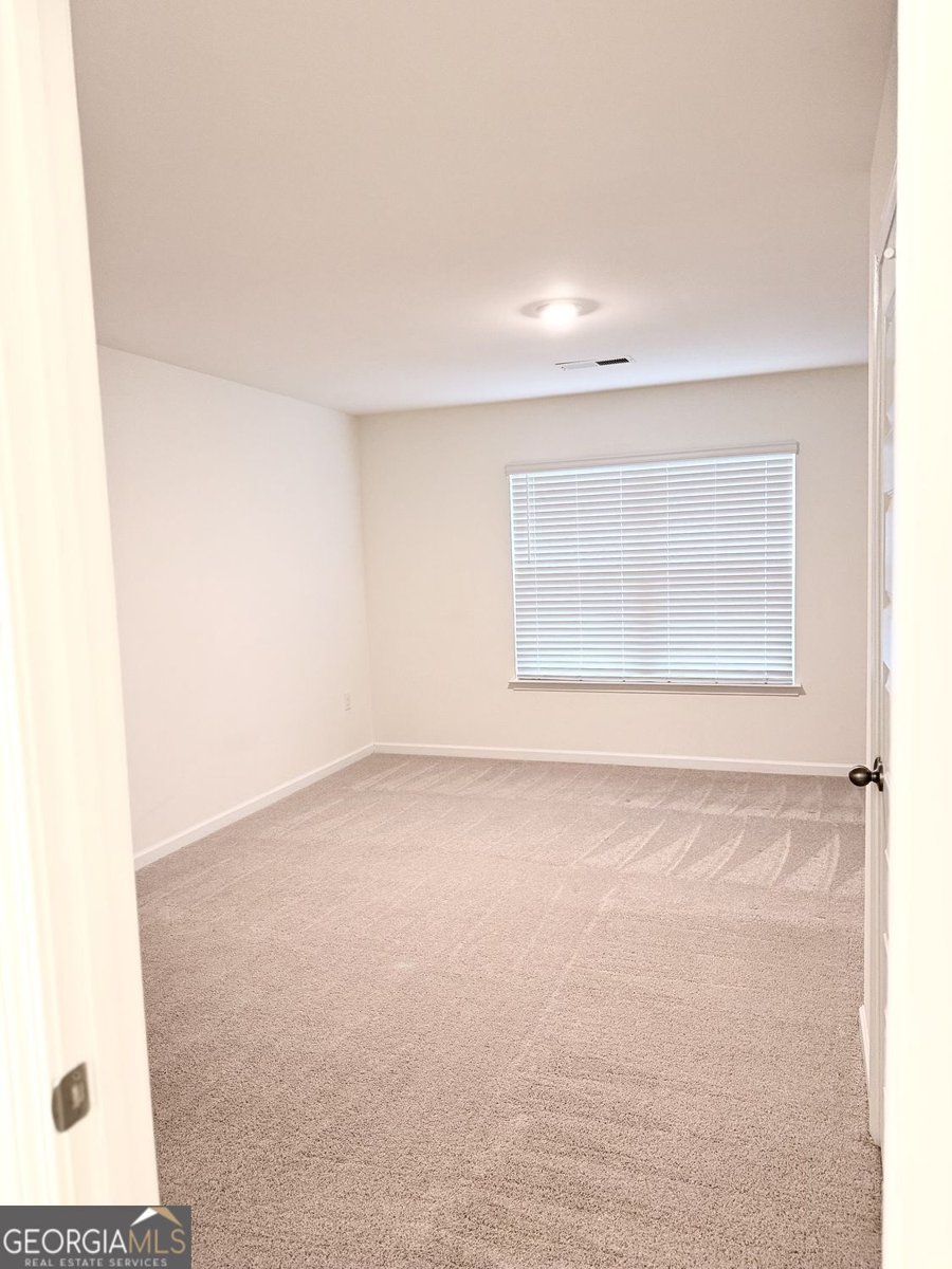 3408 Appaloosa Trail Conyers - Photo 85