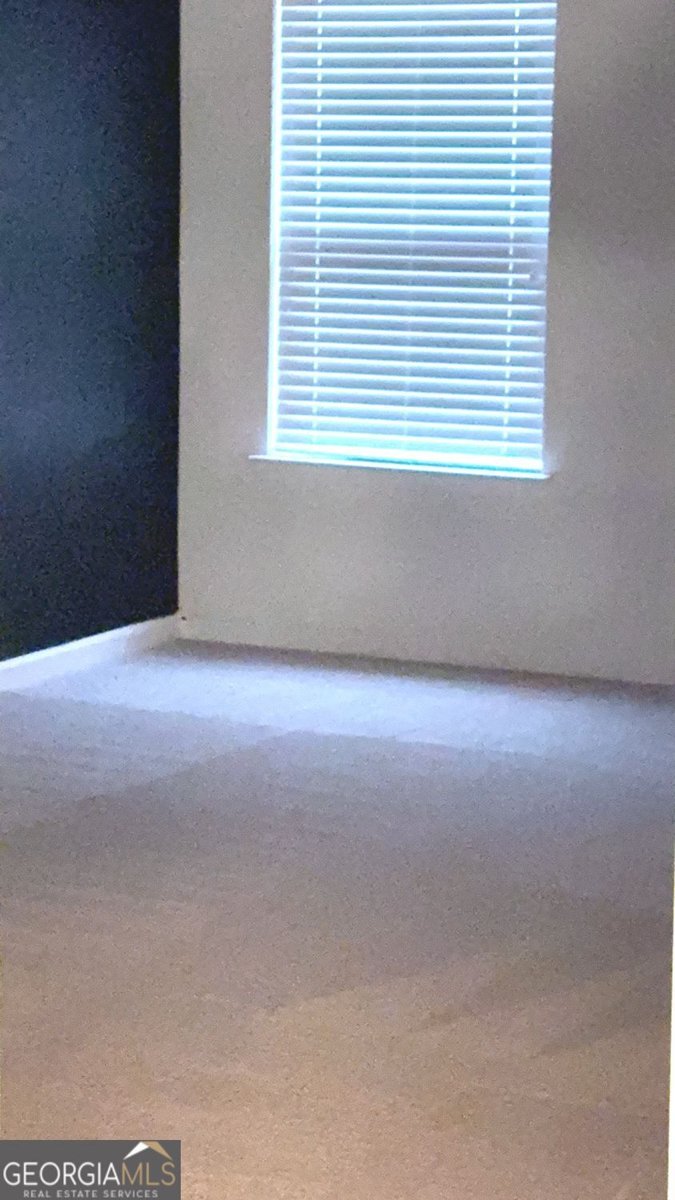 3408 Appaloosa Trail Conyers - Photo 87