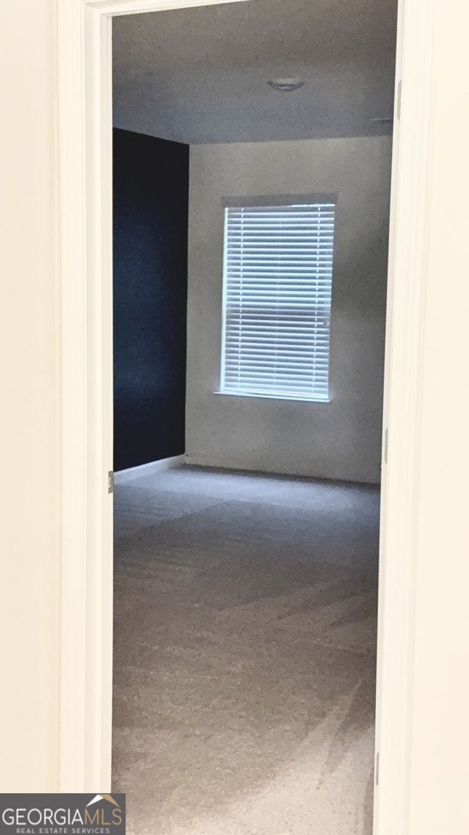 3408 Appaloosa Trail Conyers - Photo 88