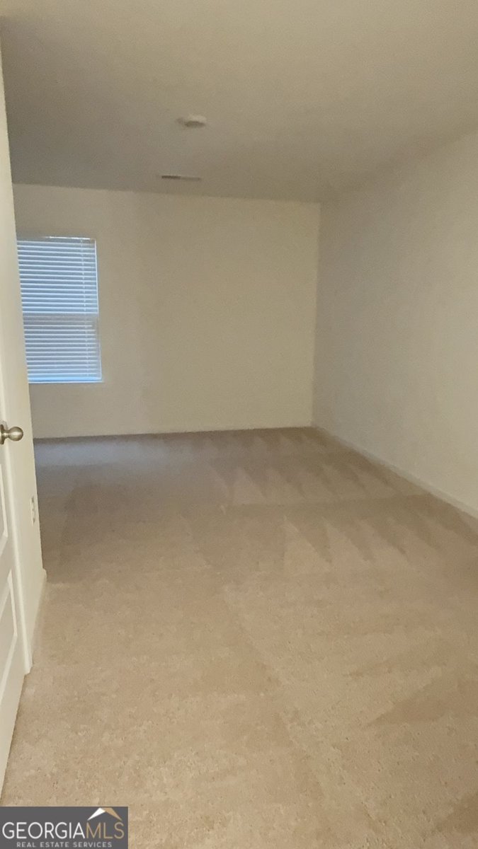 3408 Appaloosa Trail Conyers - Photo 89