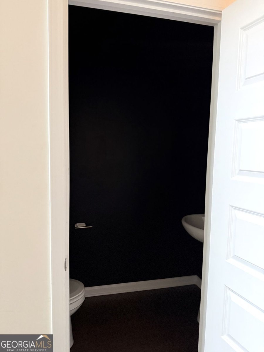 3408 Appaloosa Trail Conyers - Photo 97