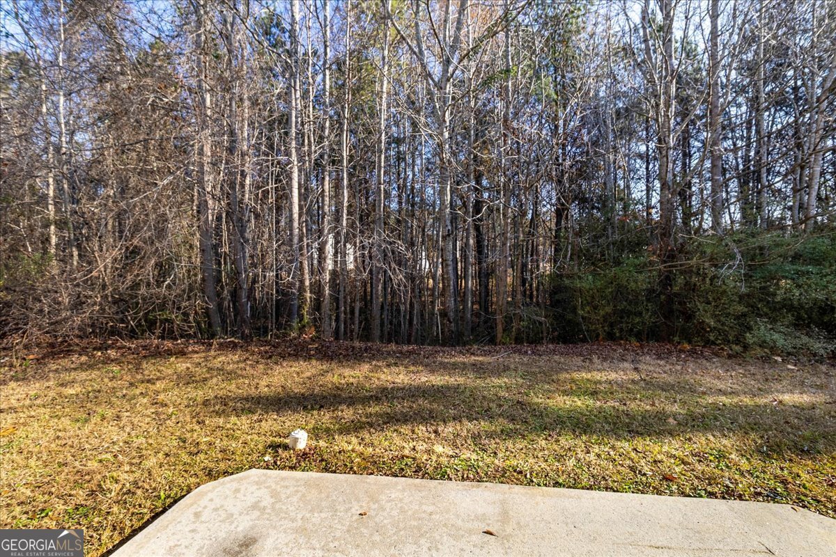 1129 Watercourse Way Hampton - Photo 32