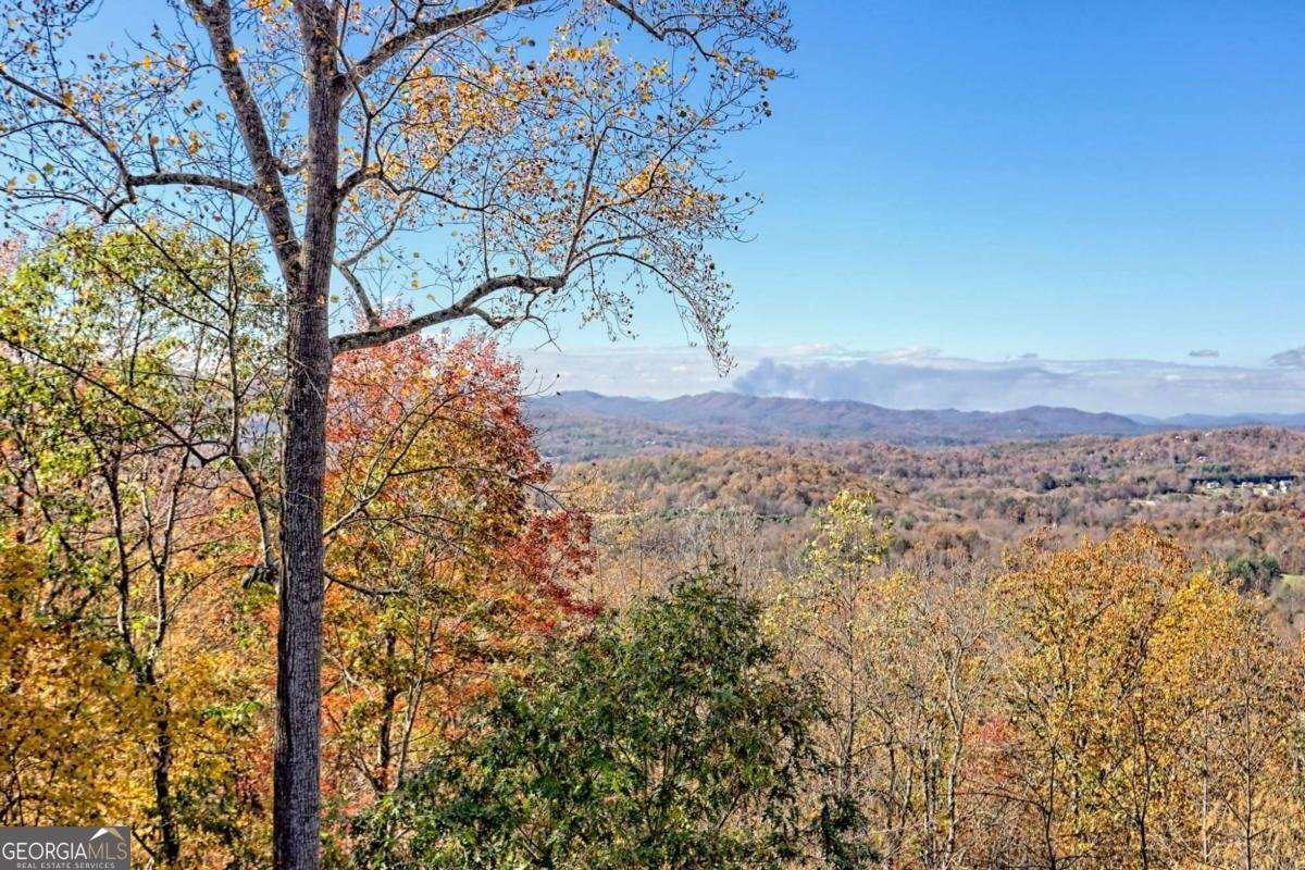 1279 Harris Ridge Road Young Harris - Photo 12