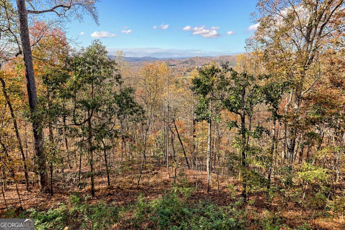 1279 Harris Ridge Road Young Harris - Photo 62