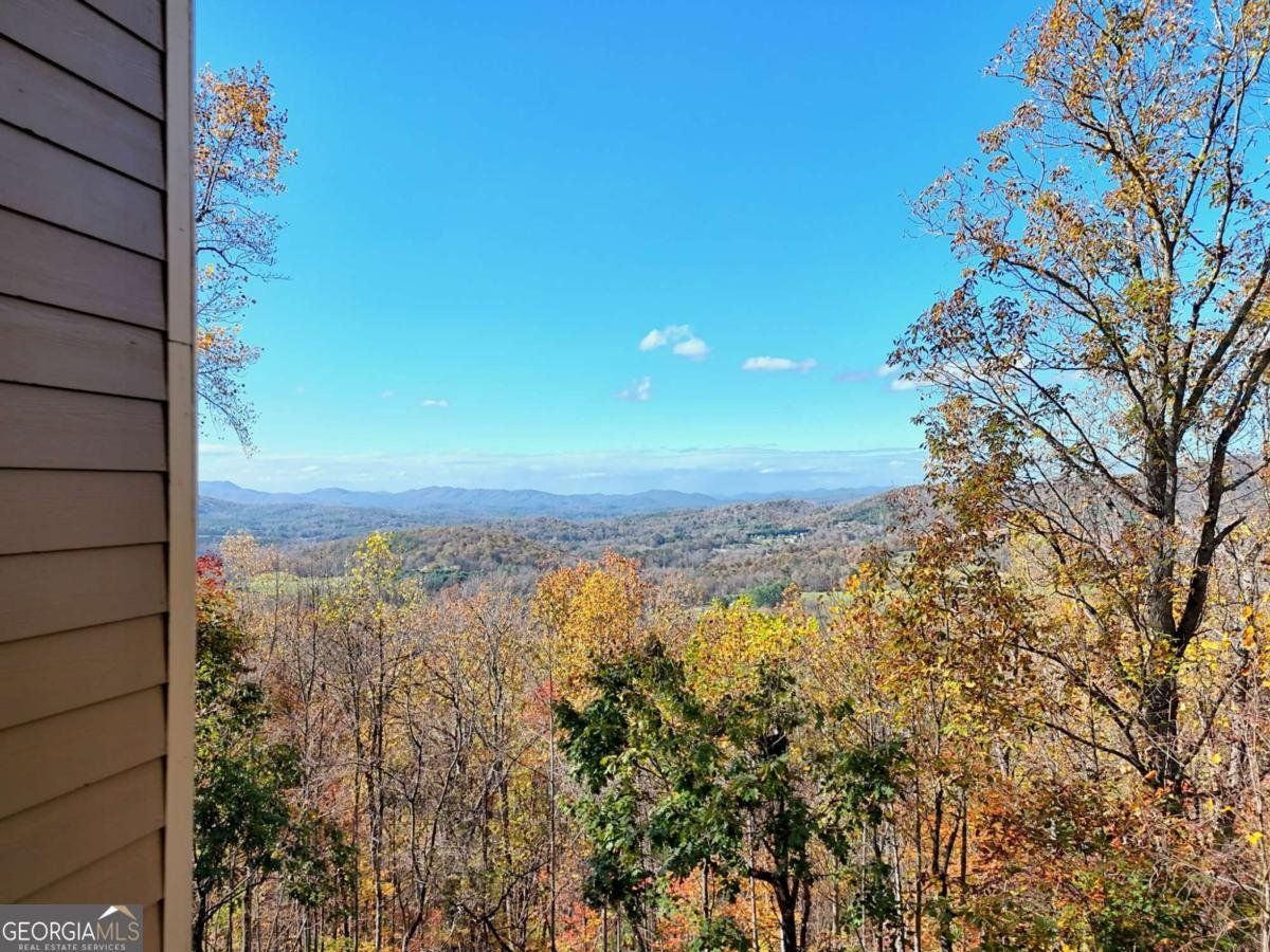 1279 Harris Ridge Road Young Harris - Photo 69