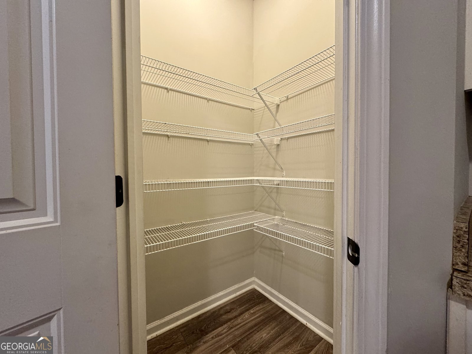 667 Carlton Pointe Drive Palmetto - Photo 43