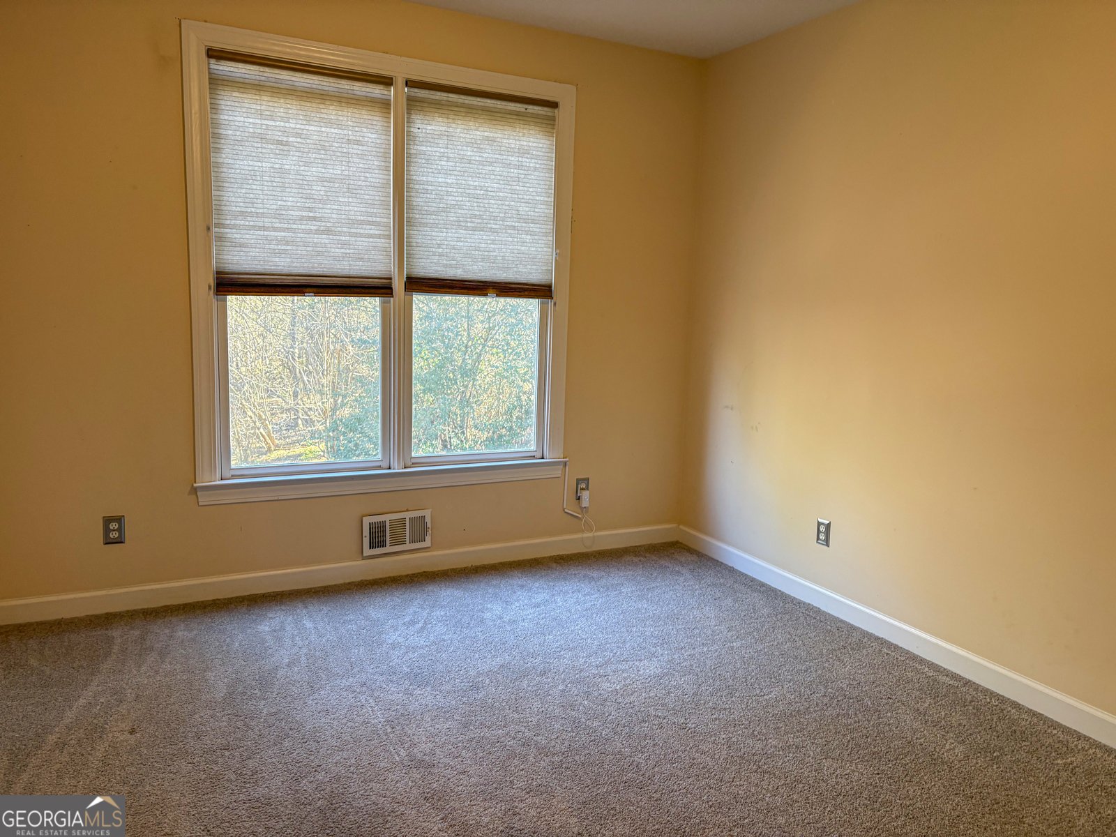 109 Hampshire Trace Tyrone - Photo 12