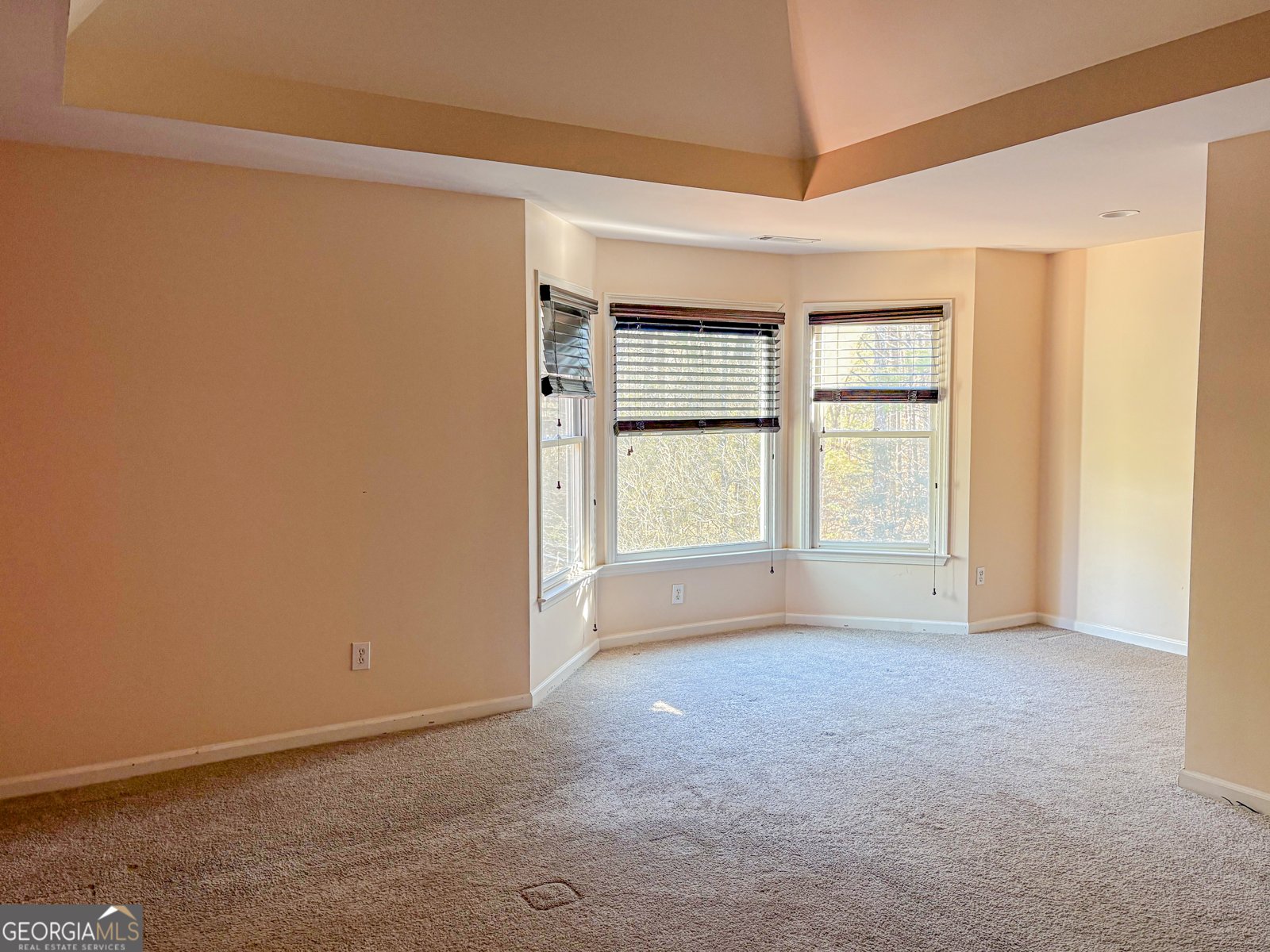 109 Hampshire Trace Tyrone - Photo 15