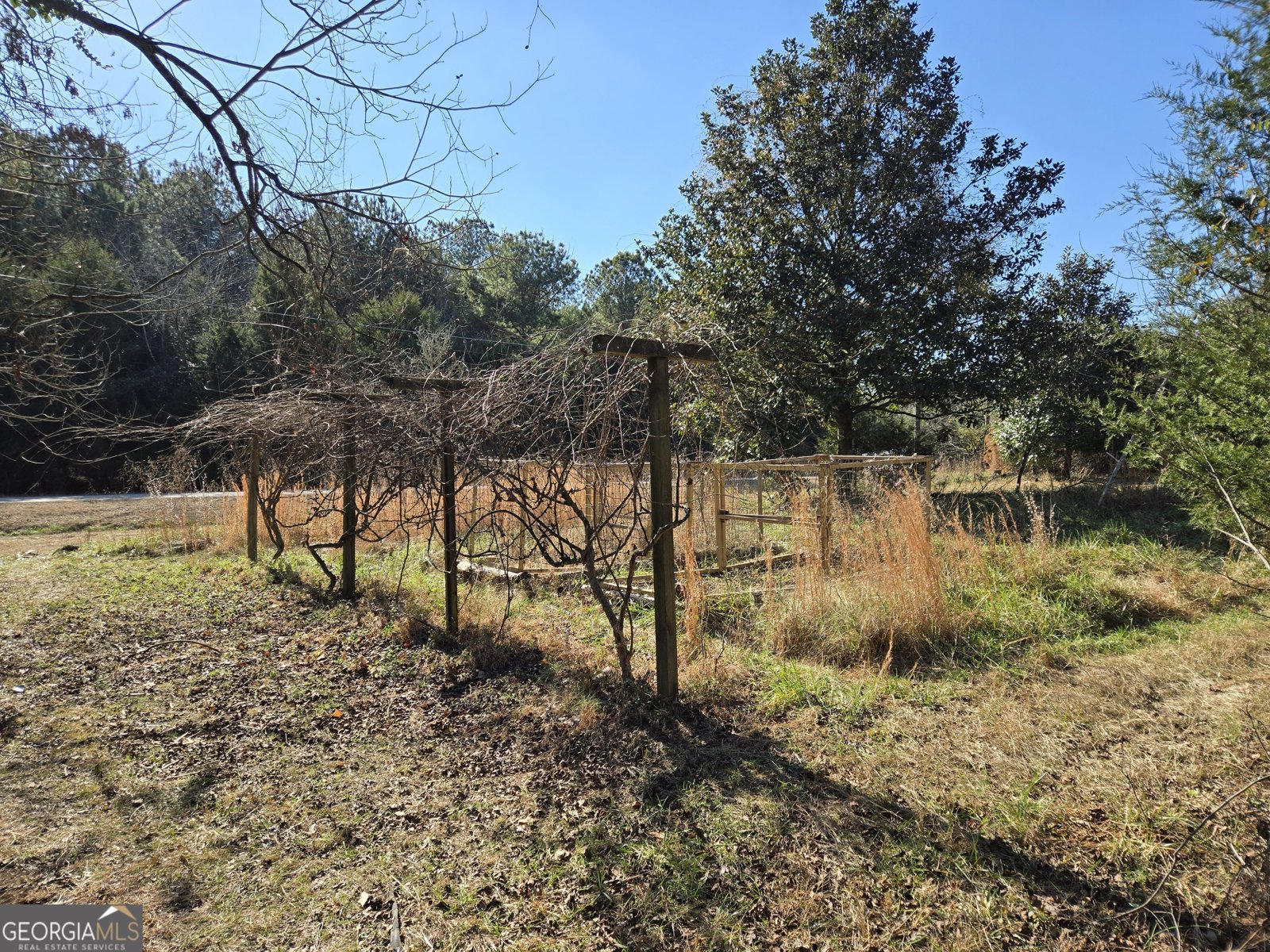 646 Walters Road Lavonia - Photo 12