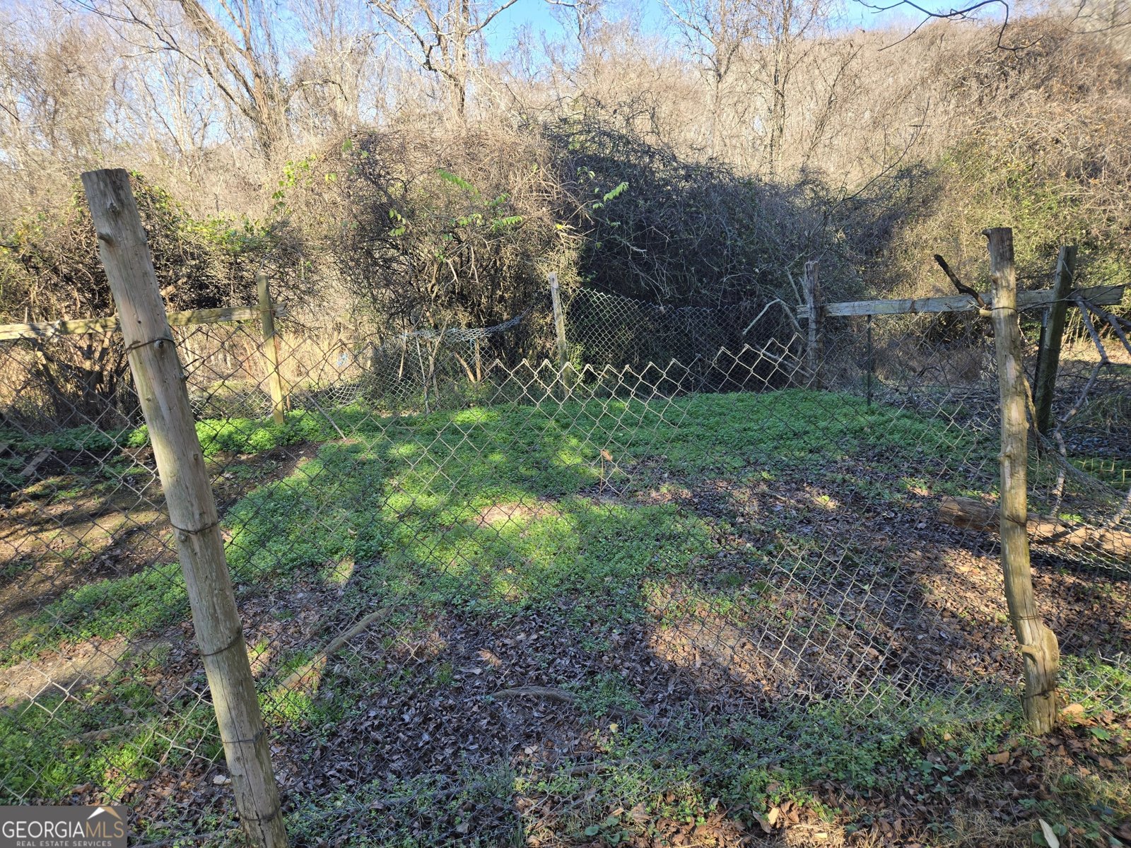 646 Walters Road Lavonia - Photo 9