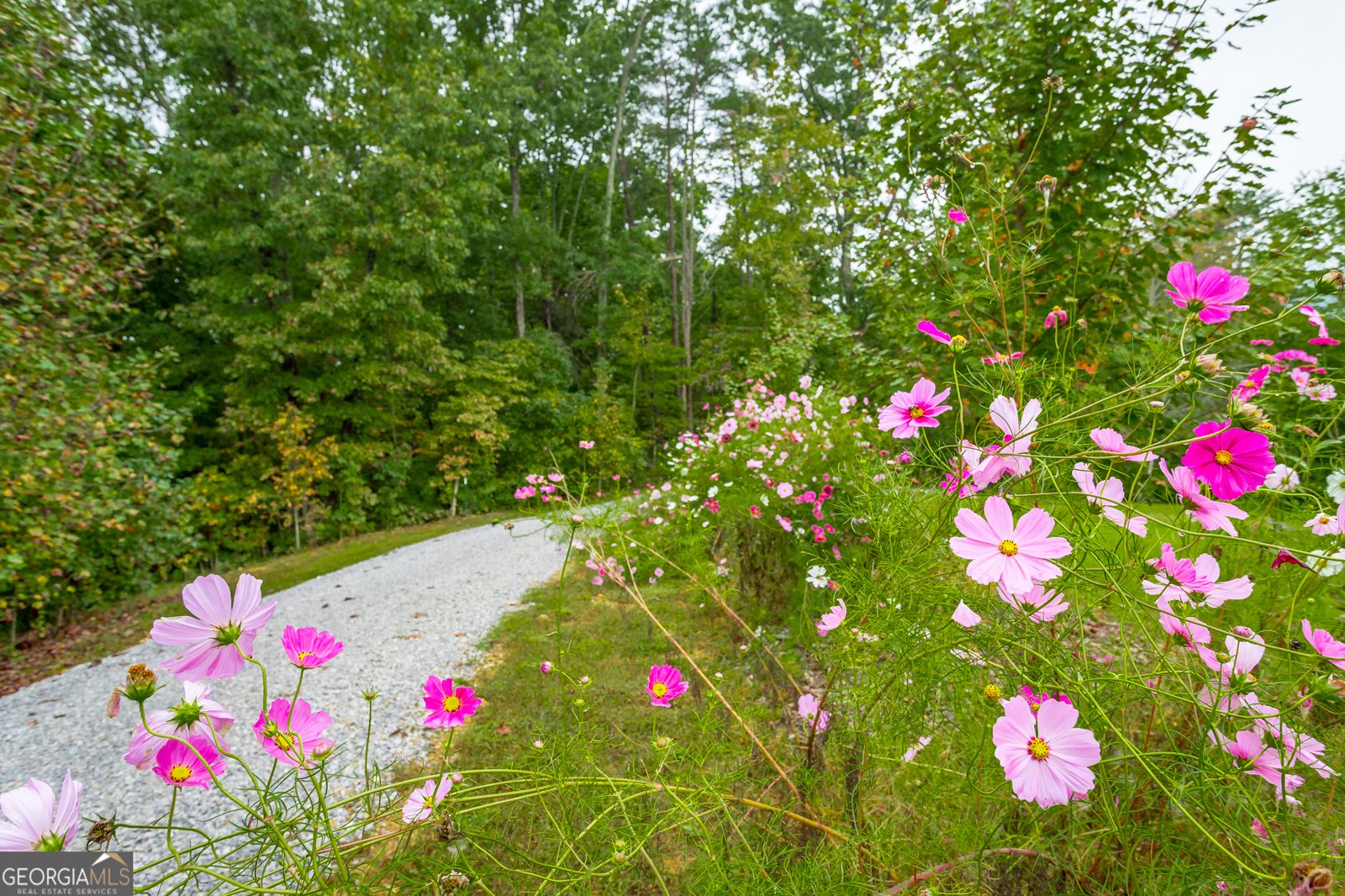 443 Back Valley Road Chickamauga - Photo 72