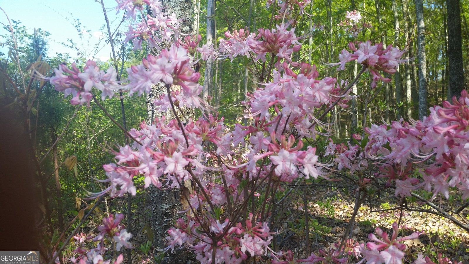 443 Back Valley Road Chickamauga - Photo 74