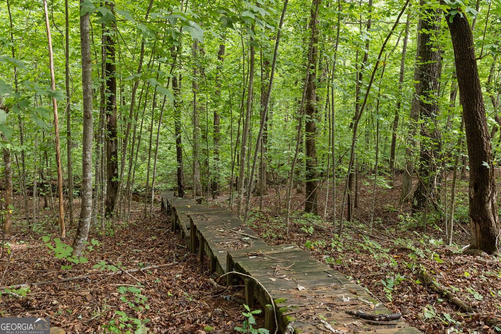 267 Pointe Willow Drive Cleveland - Photo 48