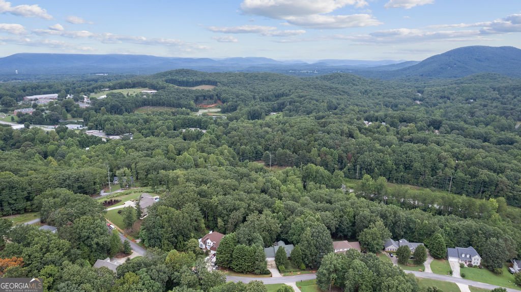 267 Pointe Willow Drive Cleveland - Photo 52